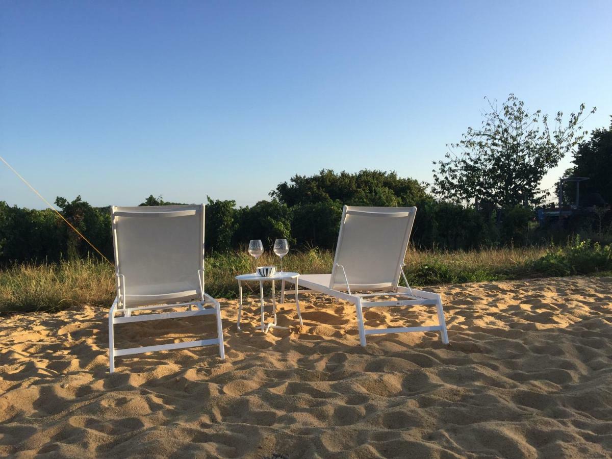 Chez Henri Bed & Breakfast Belves-de-Castillon ภายนอก รูปภาพ